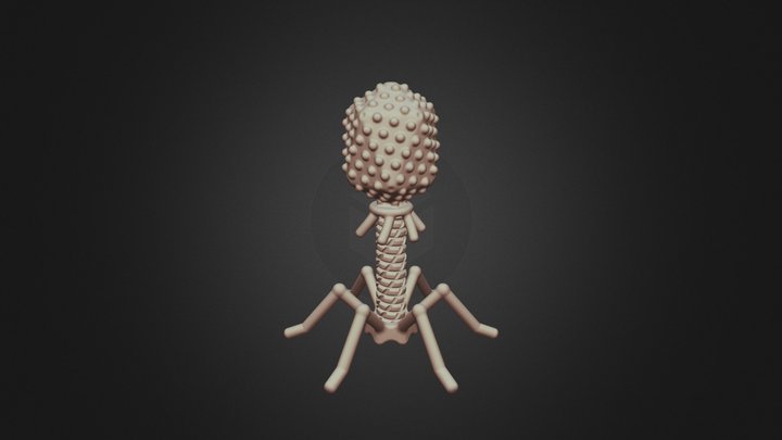 T4 Bacteriophage Virus  - 3D Printable 3D Model