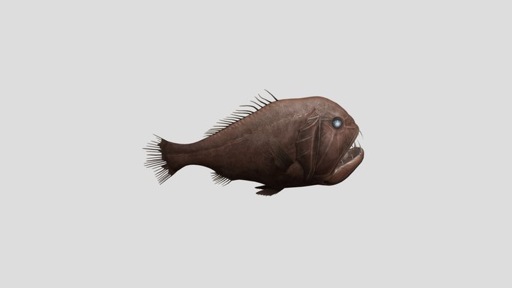 Ikan1 3D Model