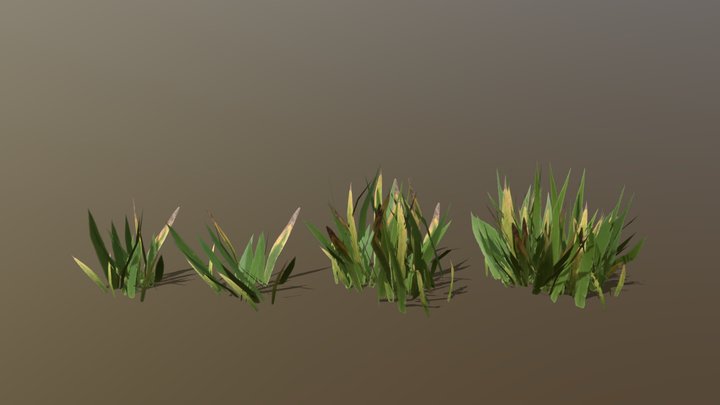 Grass Variations 3D Model