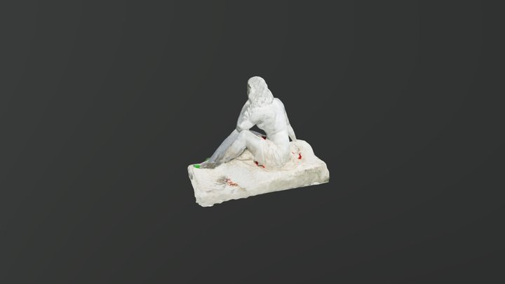 Venus moderna, mapa de patologías 3D Model