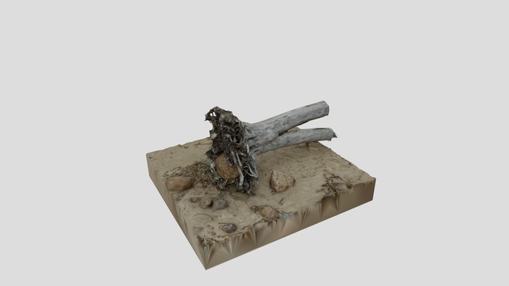 tree 3D Model