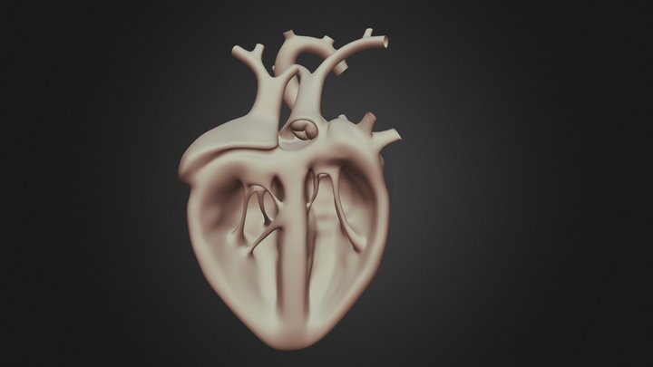 Heart 3d model 3D Model