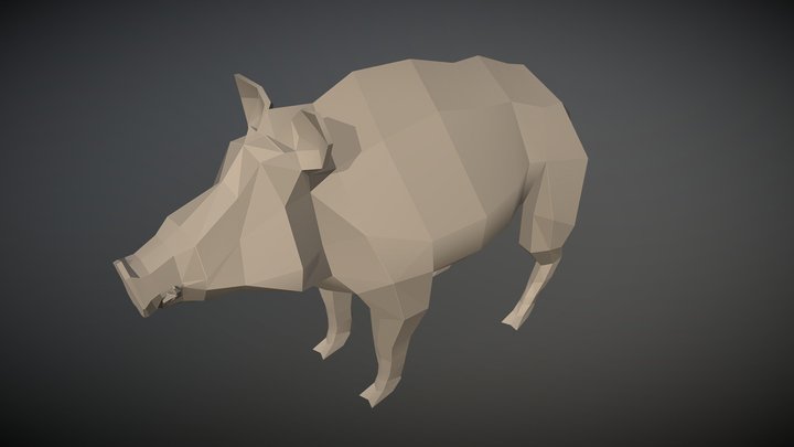 Boar Sketch 3D Model