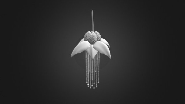 Mermaid Plant High Poly 3D Model