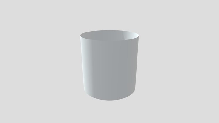 Open Mesh_ Single Surface 3D Model