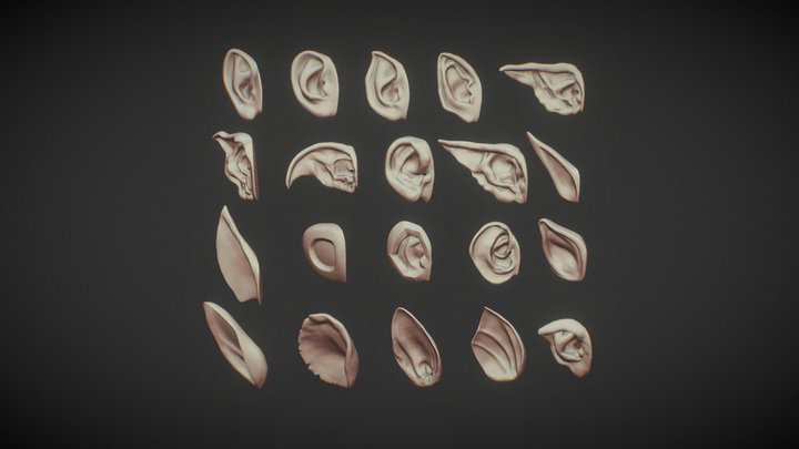 20 ear with highpoly and lowpoly 3D Model