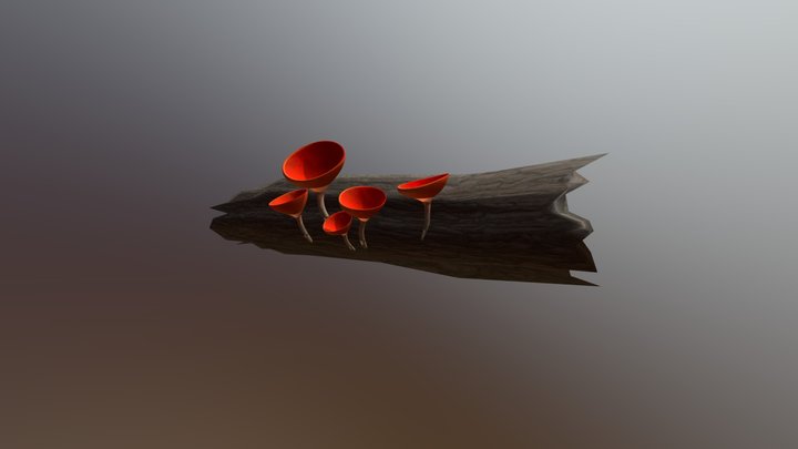 Sarcoscypha Dudleyi Fungi 3D Model