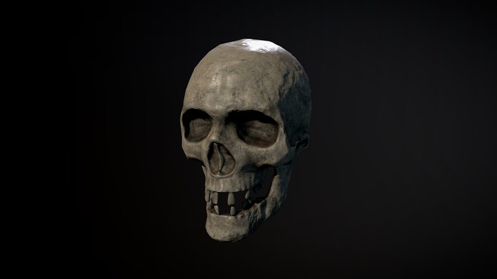Freebie - Game Art:: Petrified Skull 3D Model