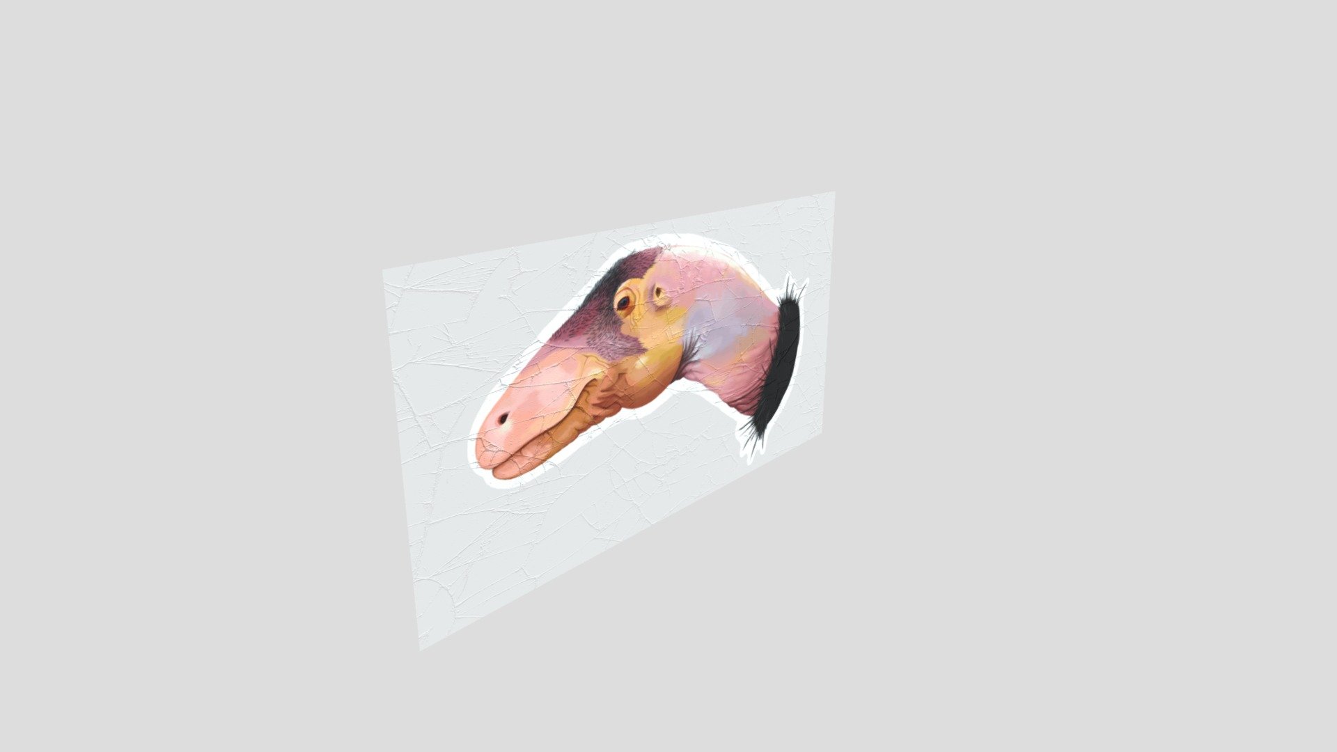 Head