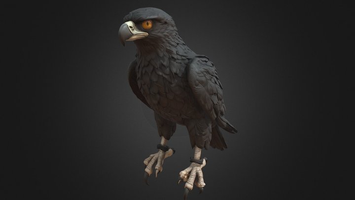 Night Falcon, Dark Fantasy Amber-Eyed Bird – Modelo 3D gratuito STL