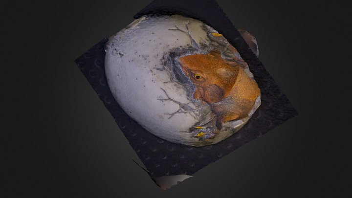 Dinoegg 3D Model