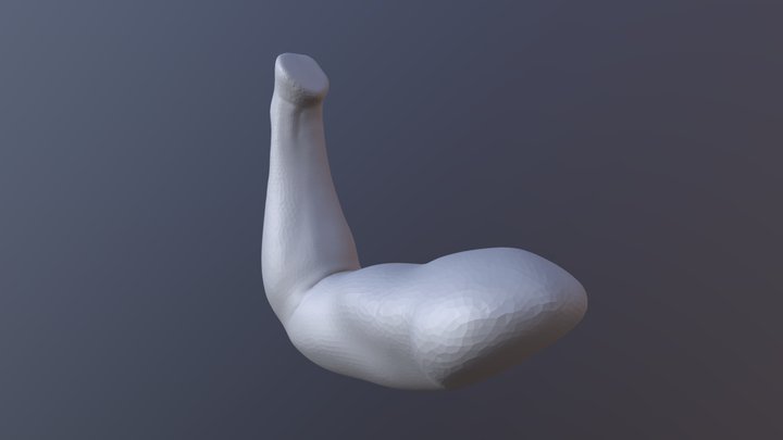 SculptJanuary Day 14: Flexing 3D Model