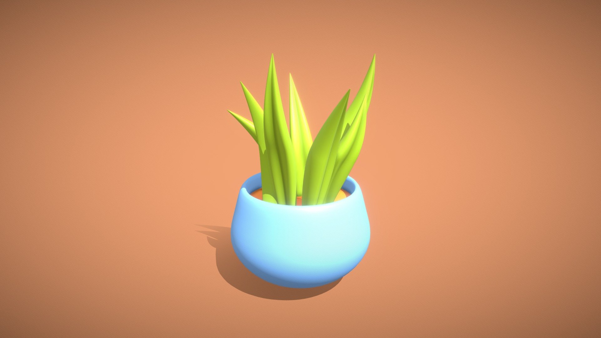 aloe vera plant