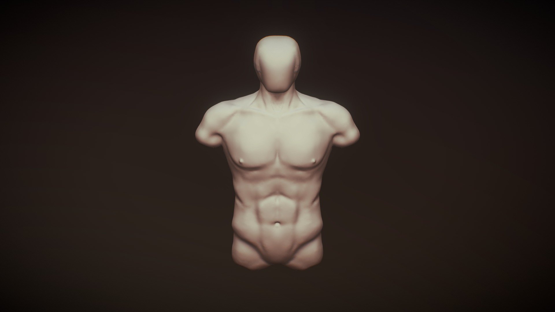 Torso Study - 3D model by Salem7 [c85a1df] - Sketchfab