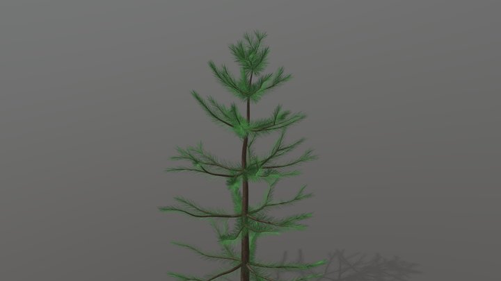 Pine Tree 3D Model