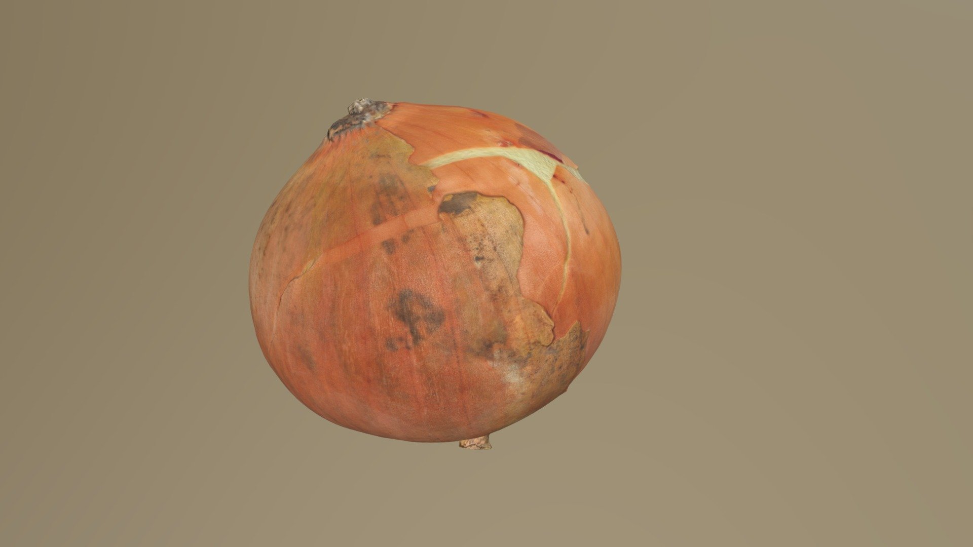 onion 3d scanned