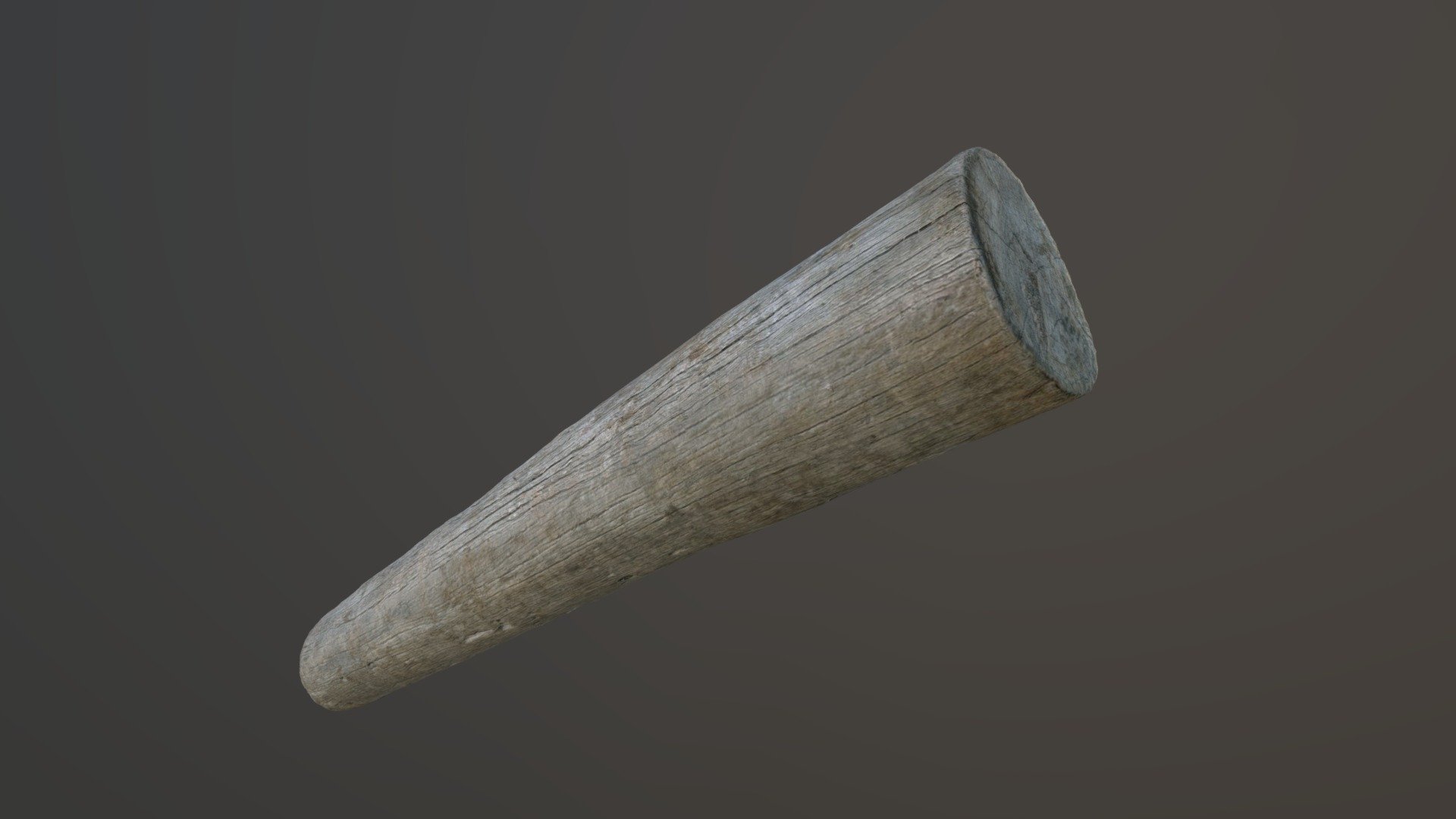 Tree Trunk