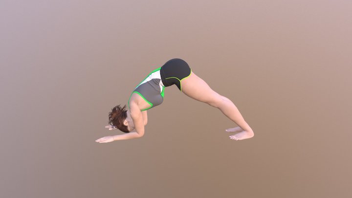 Dolphin Pose V2 3D Model