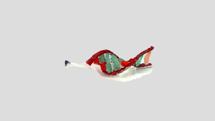 1A DNA 3D Model