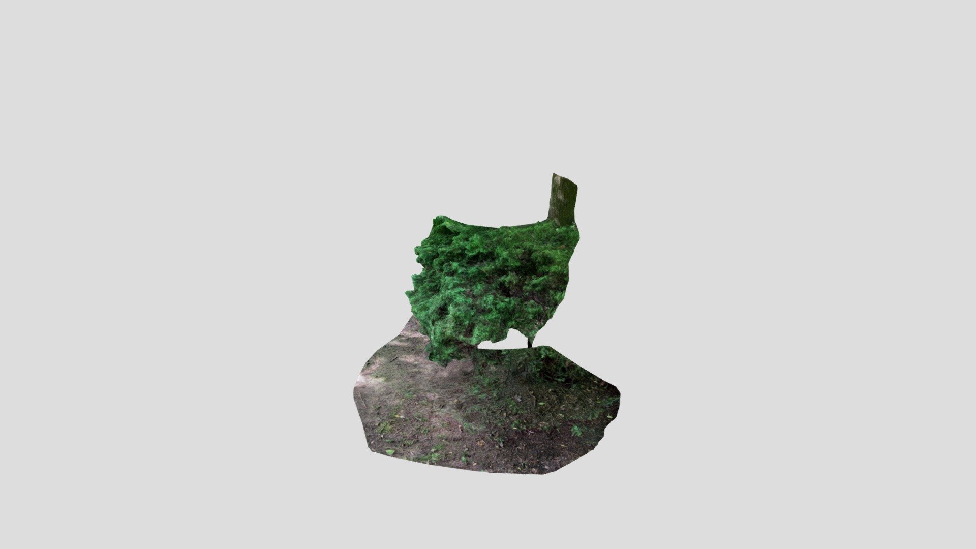 Polycam capture