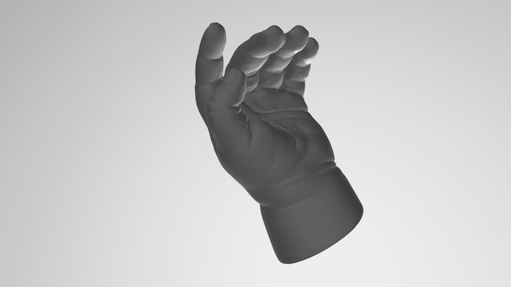 Baby Hand 3D Model