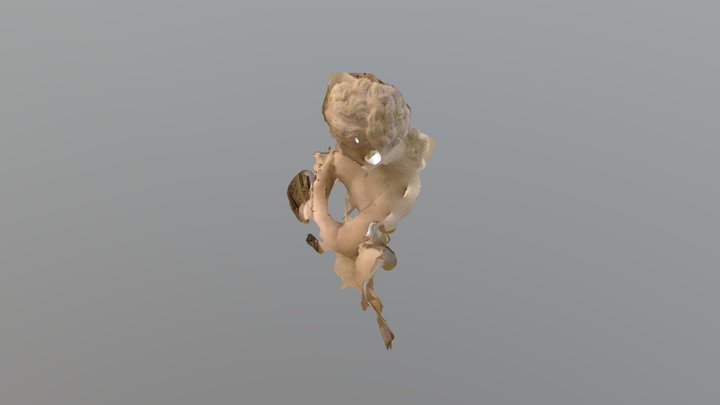 Venus 3D Model