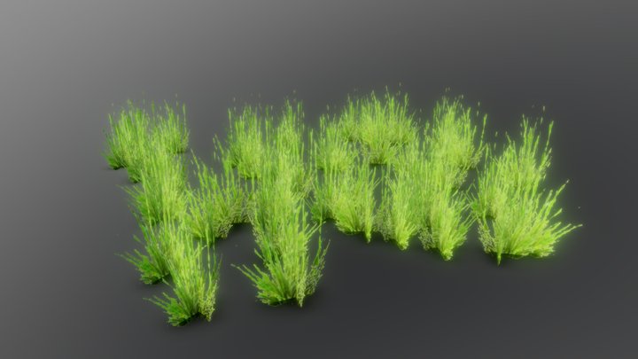 Grass (More) 3D Model