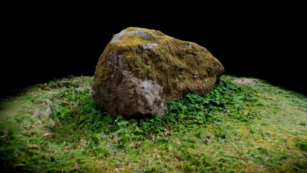Głaz / Stone
