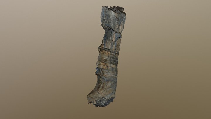 Untitled-252115 Simplified 3d Mesh 3D Model