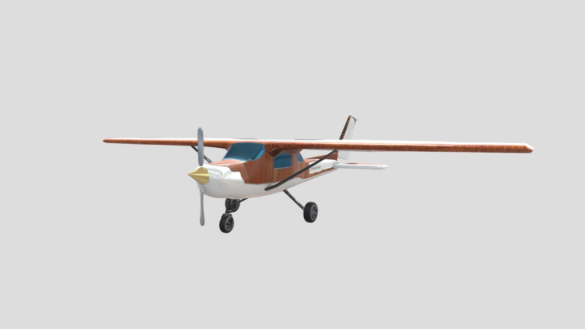 Luxury Cessna Plane