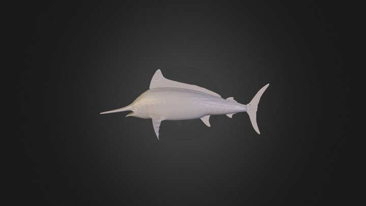 דג חרב 3D Model