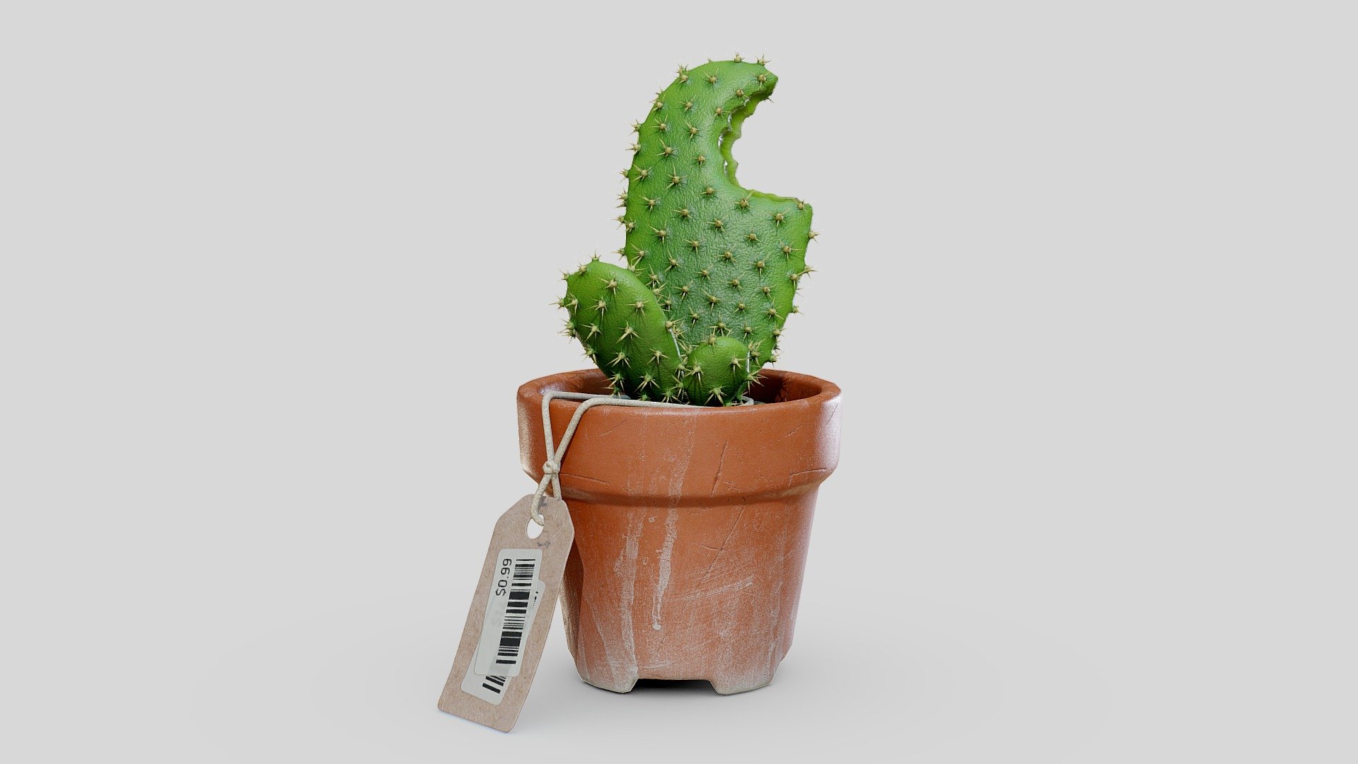 3December2021.15 - "Cactus"