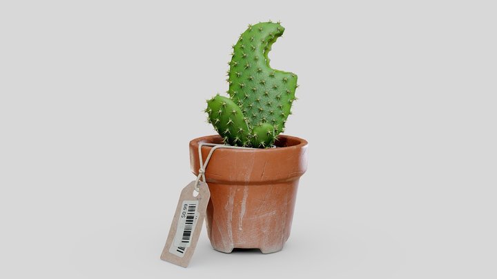 3December2021.15 - "Cactus" 3D Model