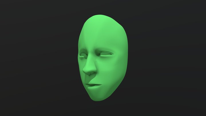 visage 3D Model