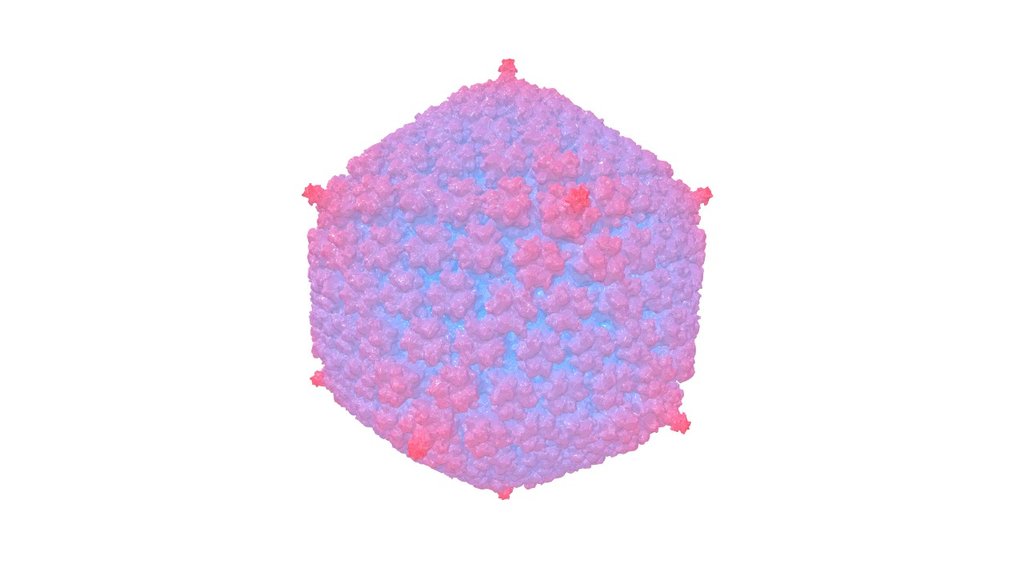 EMD 3003 - 3D model by Interactive 3D Data (@proteinsimulation ...