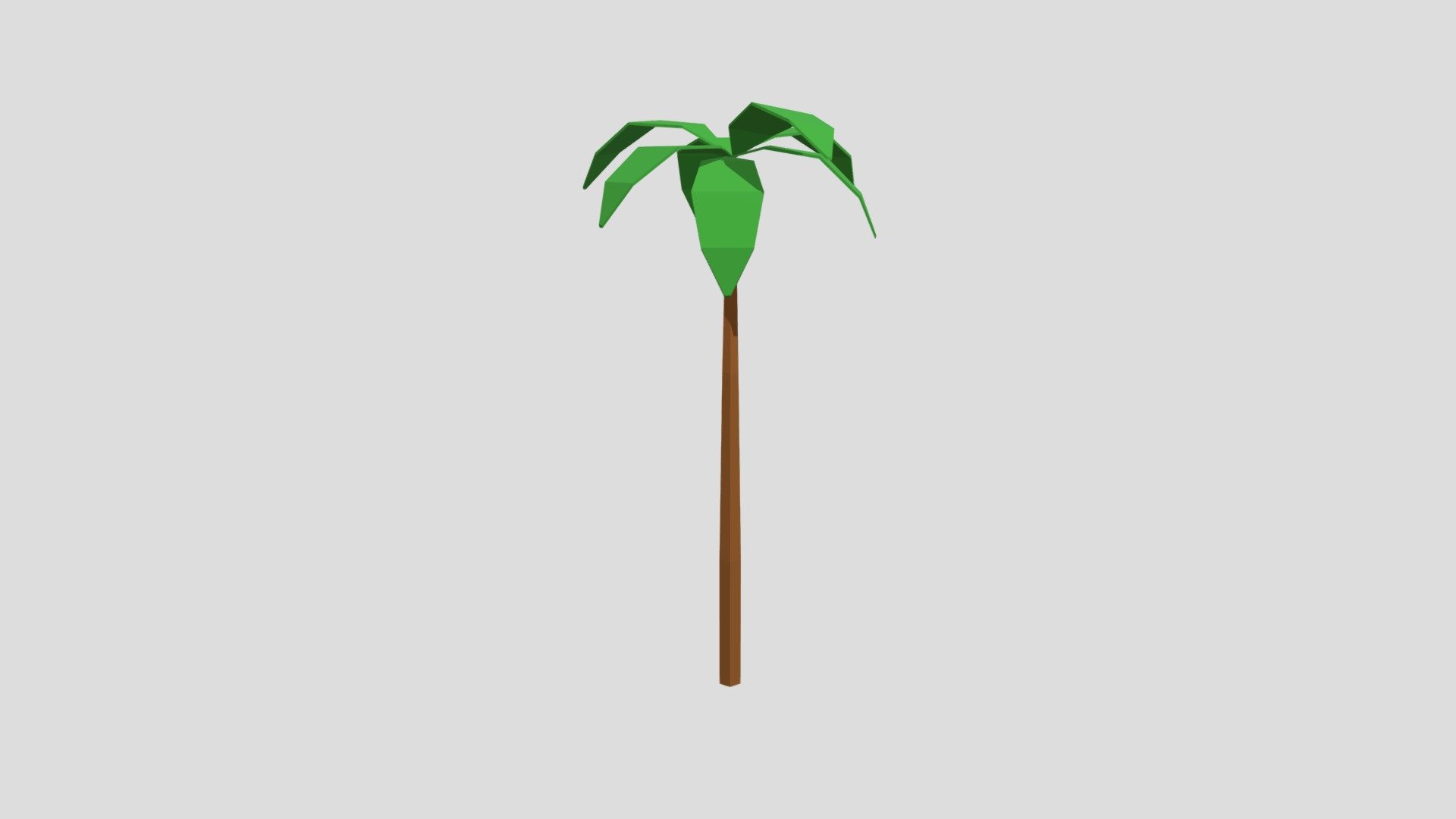 Palmera