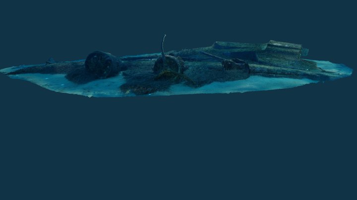 Dornier 24 Wreck 42m depth 3D Model