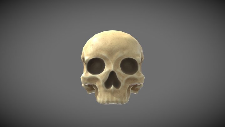 Basic Human Skull 2 - Polished Bone 3D Model