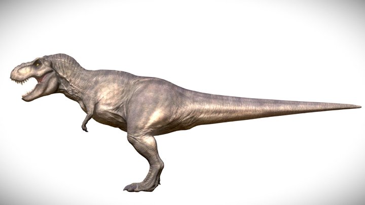 Rexy 3D models - Sketchfab