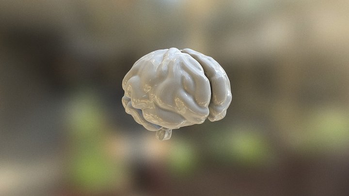 Brain smooth 3D Model