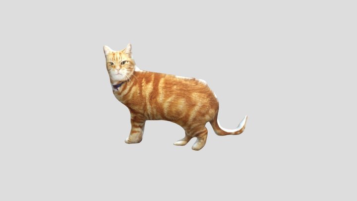 貓貓 3D Model