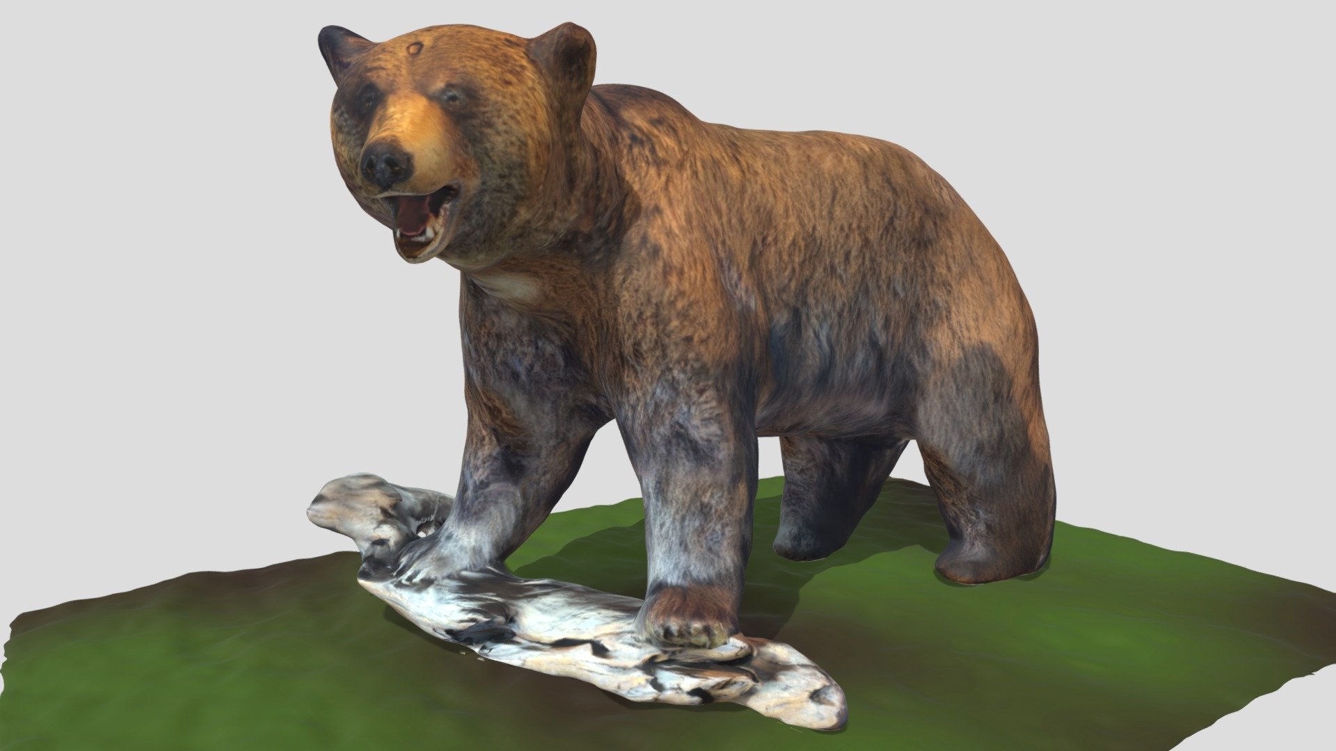 ヒグマの全身模型 3d Model By Maxpapa3 Maxpapa3 C651d