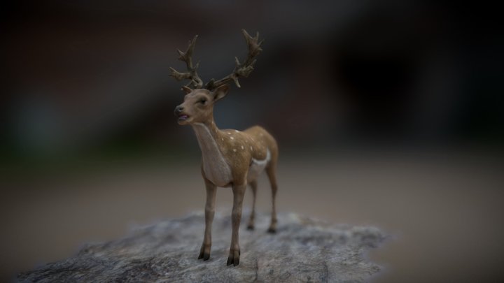 Stone Rage - Deer 3D Model
