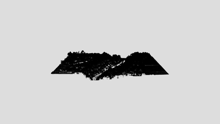 Неклассифицированное облако точек 3D Model