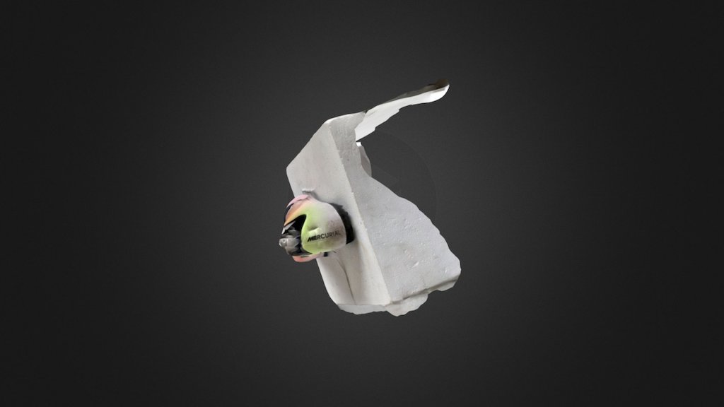 shoe