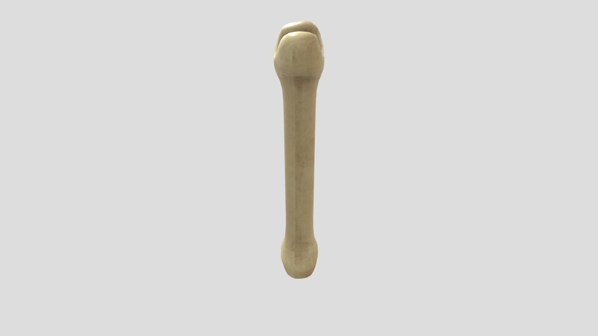 Bone collectible - Download Free 3D model by RBZ_7 [c89f8dc] - Sketchfab