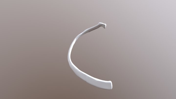 Rib 3 Right 3D Model
