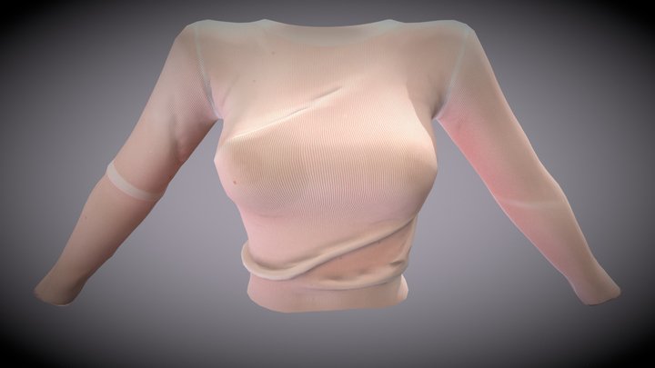 Sheer Transparent Effect Sexy Female Blouse 3D Model