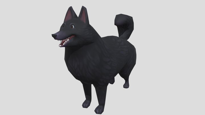 Schipperke 3D Model