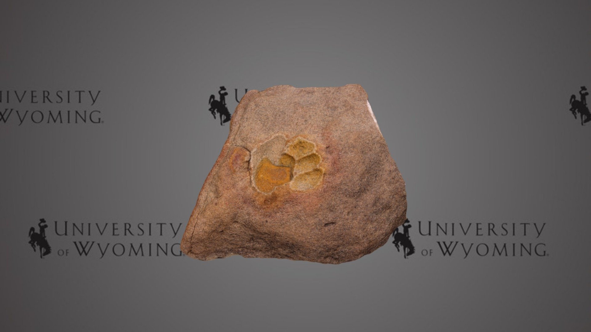 Pseudofossil - False Pawprint